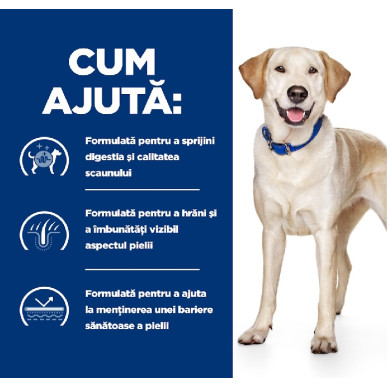 Hill’s Prescription Diet Canine d/d Duck & Rice – Hrană Uscată Hipoalergenică pentru Câini, 4 kg